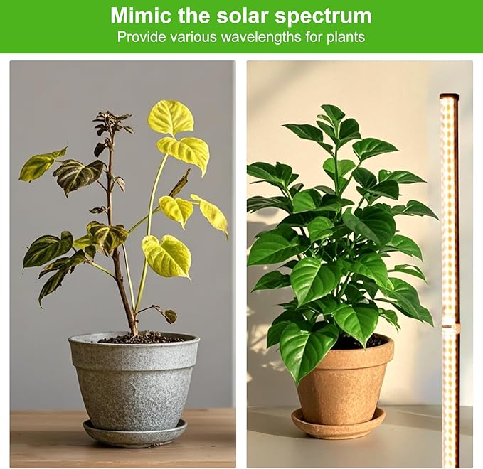 Grow Lights for Indoor Plants with Stand, Standing Grow Light with 3 Light Modes, LED Full Spectrum Vertical Grow Lights for Indoor Plants with Timer for Indoor Plants, Greenhouse (50 Inch)