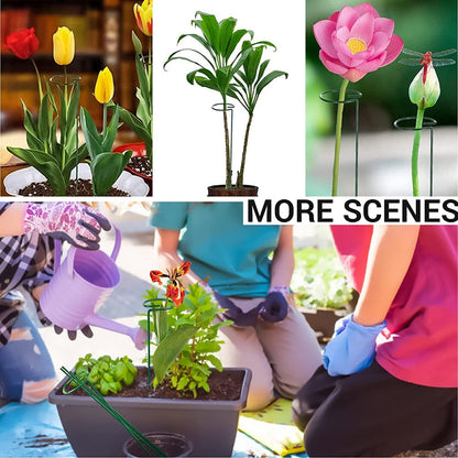10 pcs 24 inch Metal Single Stem Flower Plant Support Stakes and Rings for Amaryllis Orchid Lily Sunflower Rose Narcissus