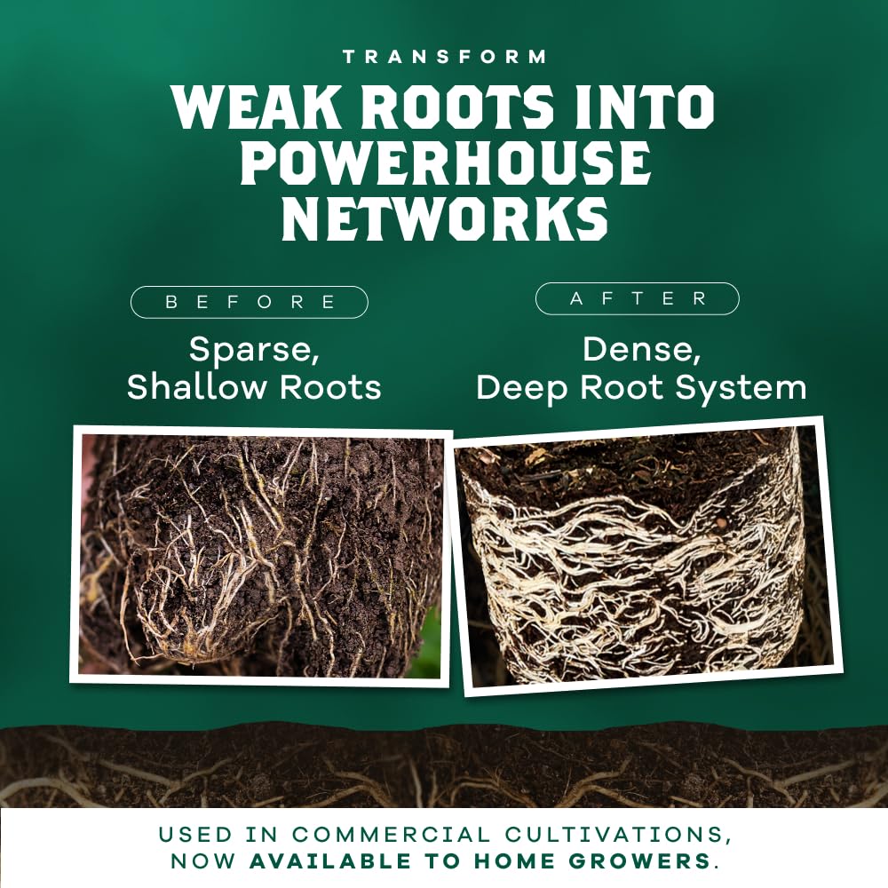 DYNOMYCO Granular Mycorrhizal Fungi Inoculant, 340g / 12oz – Boosts Root Growth, Yields & Nutrient Uptake – 900 Propagules/g, Concentrated Granules, & OMRI Listed – Biofertilizer for Plant Growth