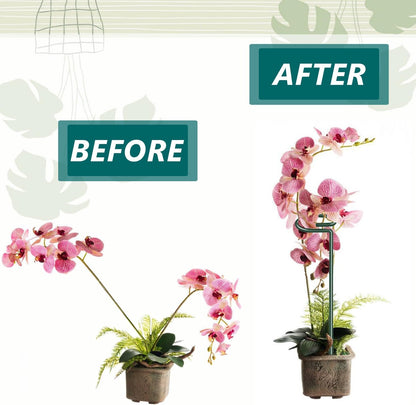 MAFONE 6 Pack 24inch Plant Support Stakes,Plant Stick for Two Sizes(12 or 24Inch) Garden Single Stem Flower Support Stake Plant Cage Support with 20pcs Clips and Plant Ties for Tomato Orchid Lily