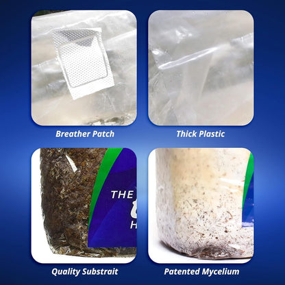 Exhale Homegrown CO2 MAX - Largest CO2 Bags for Indoor Grow Rooms & Grow Tents - Foliage Mushroom Bags (2 Pack)