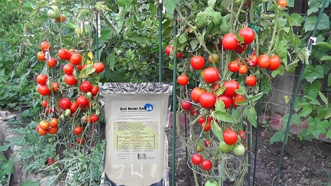 Super Absorbent Polymer Helps Plant Growth and Plant Establishment (10 Pounds)