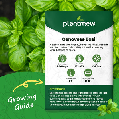 Genovese Basil Seeds for Planting - 500 Heirloom, Non-GMO Seeds - Sweet Basil Herb Seeds for Home Herb Garden, Indoor & Outdoor Herb Gardening