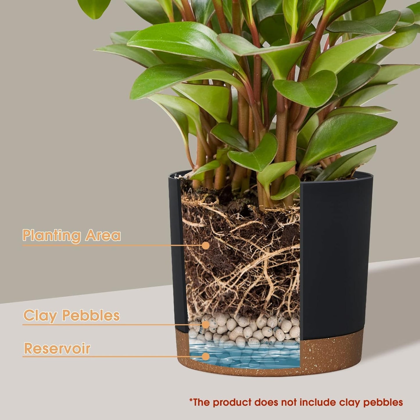 kubvici Plant Pots for Indoor Plants, 2 Pack 8 Inch Plastic Flower Pot Planters with Drainage Saucer for Indoor Outdoor Garden Home (8” Black)