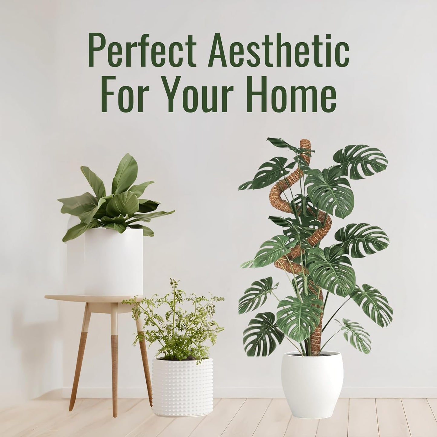2 Pack 30 Inch Moss Pole for Plants, Moss Poles for Climbing Plants Monstera, Handmade Coco Coir Plant Pole, Monstera Plant Support for Plant Grow