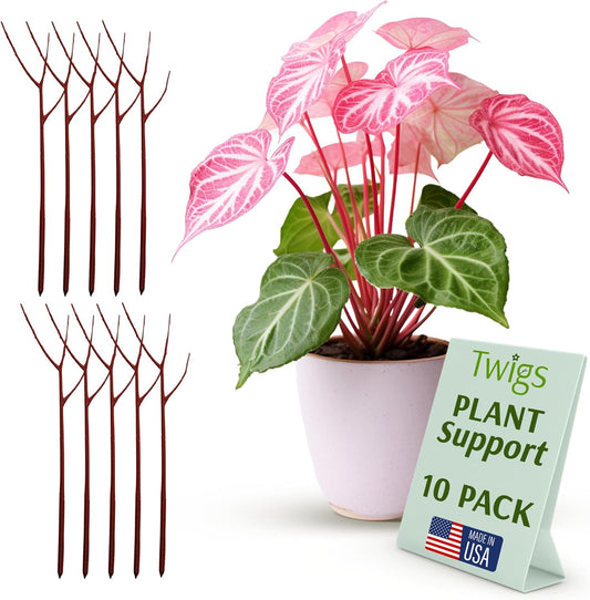 Plant Support Stakes, Stem Holder Structures for Indoor & Outdoor Use, Garden Accessories for