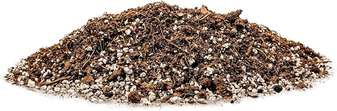 Premium Organic Potting Soil for Beets - (2 Quart Bag)
