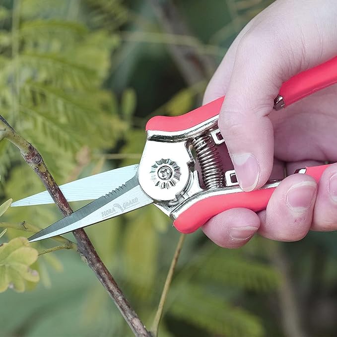 FLORA GUARD 6.5 Inch Micro-Tip Pruning snip Gardening Hand Pruning Shears Trimming Scissors with Stainless Steel(Red)