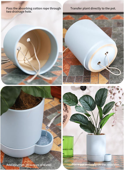 5.5 Inch Ceramic Self Watering Planters with Absorbent Cotton Rope, Cylinder Round Flower Pot for Succulent, Herbs, African Violets, Blue, 1 Pack