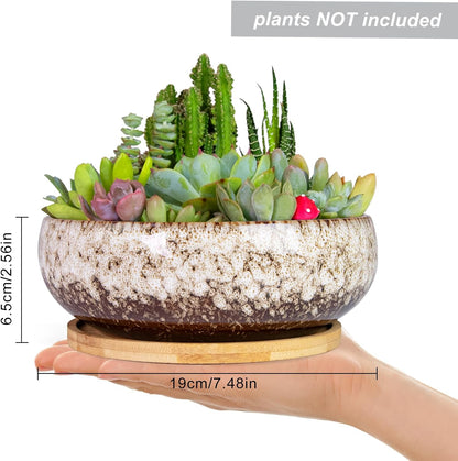 ARTKETTY Succulent Pots - 7.5 Inch Large Plant Pot with Bamboo Tray, Shallow Bonsai Pots with Drainage, Ceramic Planter for Indoor Plants, Cactus, Home Office Desk Decor