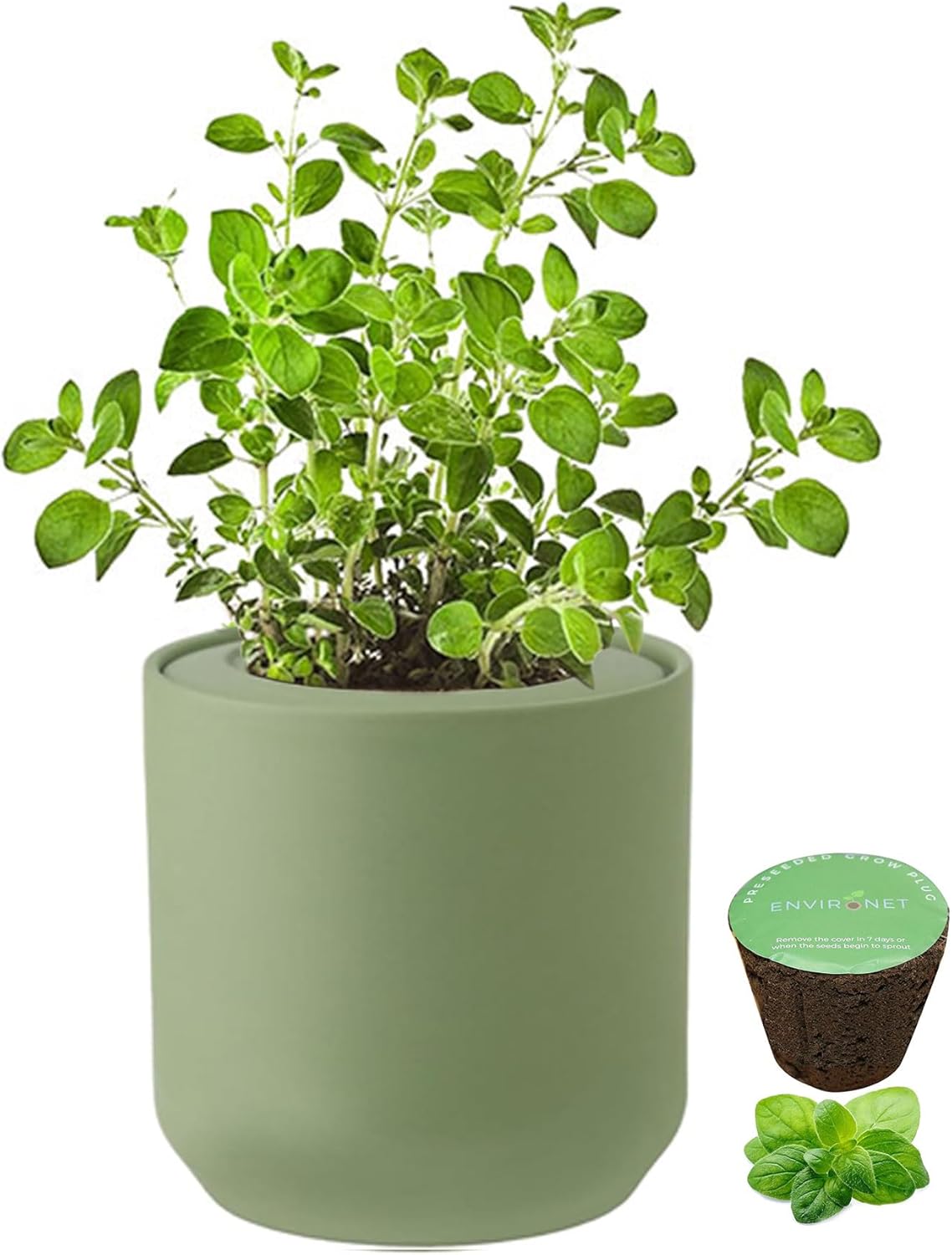 Hydroponic Herb Growing Kit, Self-Watering Kitchen Herb Garden Starter Kit with Green Ceramic Pot and Seeds (Oregano)