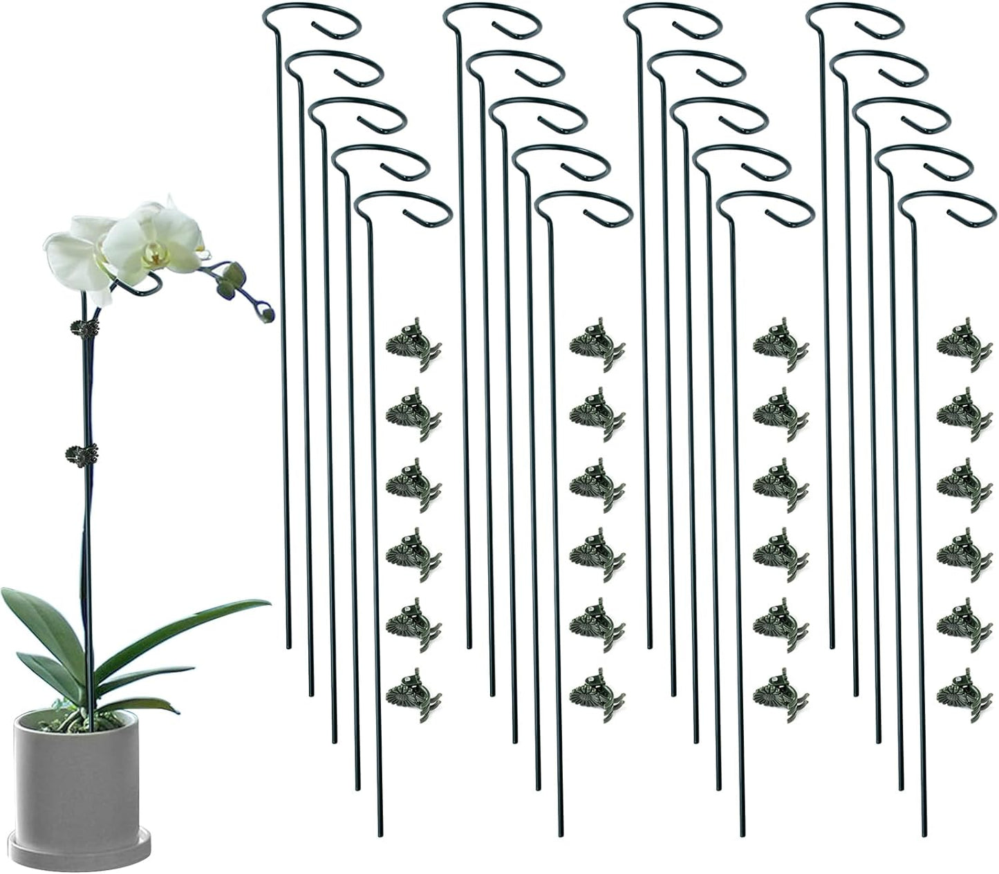 20 Pack Plant Support Stakes with 24 Pcs Plant Clips, Garden Single Stem Support Stake, Plant Cage Support Ring for Indoor Outdoor Flowers Rose Amaryllis Tomatoes Peony Lily Orchid (24 Inch)