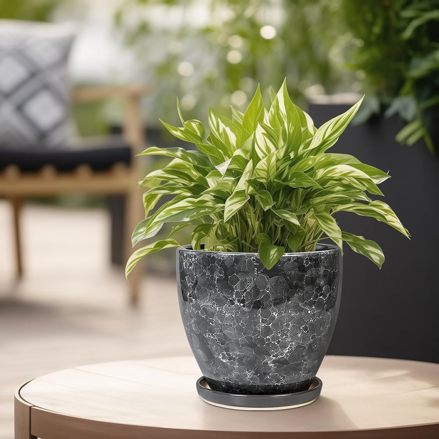 6 Inch Plant Pot - Ceramic Planter for Indoor with Drainage Hole and Saucer, Round Succulent Pot, Modern Flower Planters, Home Room Garden Office Decor, Gardening Gifts for Women, Grey