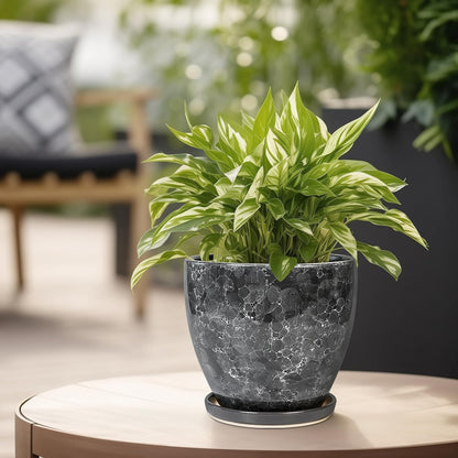 6 Inch Plant Pot - Ceramic Planter for Indoor with Drainage Hole and Saucer, Round Succulent Pot, Modern Flower Planters, Home Room Garden Office Decor, Gardening Gifts for Women, Grey