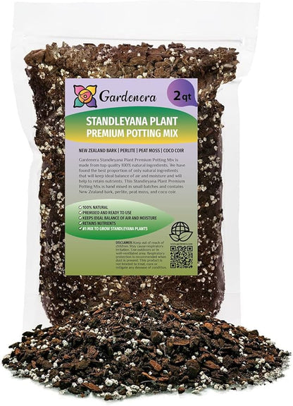 Monstera Standleyana Soil Mix - Specially Formulated for Strong Root Development - 2 Quart