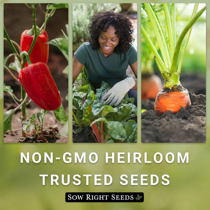 Sow Right Seeds - Classic Vegetable Garden Seed Collection for Planting - Non-GMO Heirloom Broccoli, Cabbage, Carrot, Cucumber, Kale, Lettuce, Tomato, Peppers, Zucchini, and More