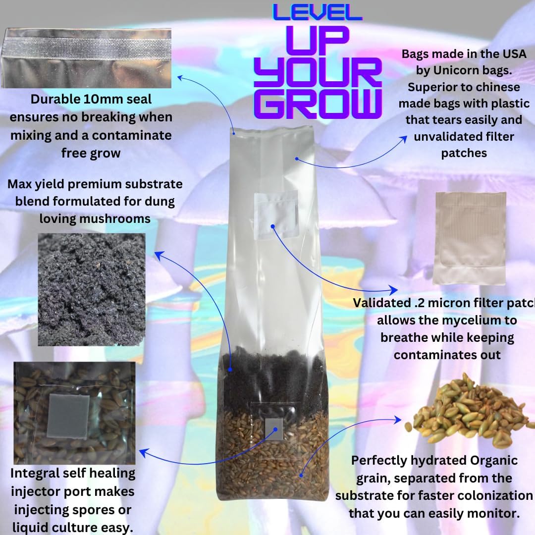 Mushroom Grow Kit - Magic All in One Mushroom Grow Bags (Pack of 1)