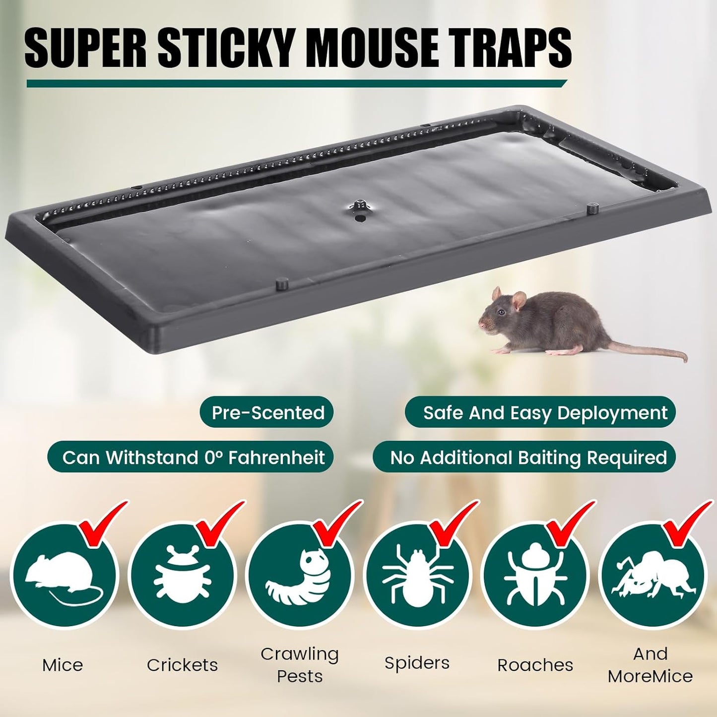 Qualirey 16 Pcs Cold Weather Glue Traps Freeze Resistant Sticky Mouse Traps Heavy Duty Safe Pest Control Adhesive Tray Pre Baited Easy to Use Glue Boards for Winter Mice Rat Spider Indoor Home Garage