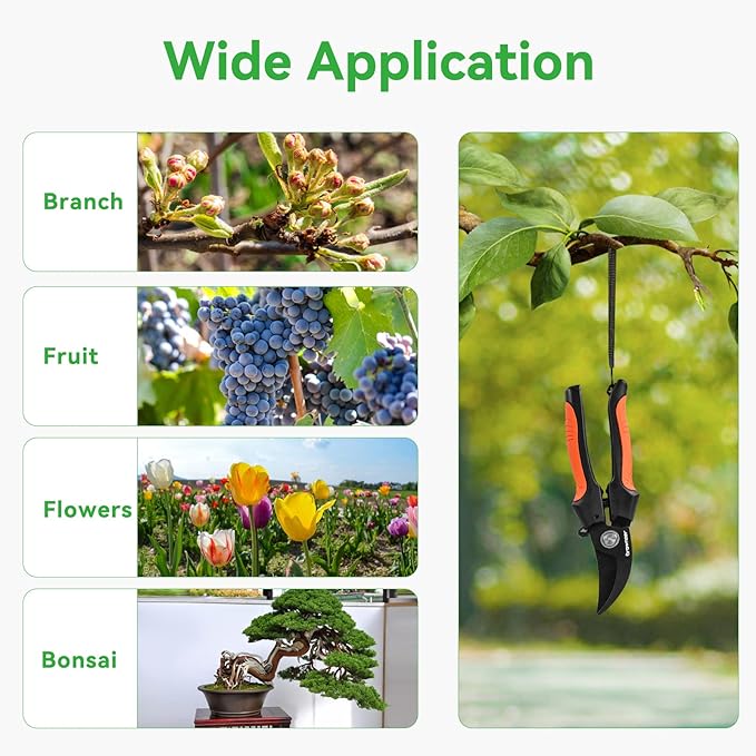 GROWNEER Bypass Pruning Shears, 8 Inch Teflon Coated Plant Scissors, Hand Pruners for Gardening, Garden Clippers Handheld, Hedge Trimmers with Sap Groove and Lanyard for Branch, Flower, Bonsai
