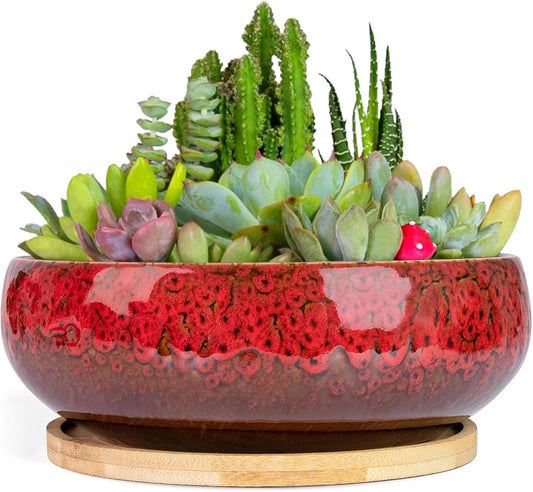 ARTKETTY Succulent Pots - 7.5 Inch Large Plant Pot with Bamboo Tray, Shallow Bonsai Pots with Drainage, Ceramic Planter for Indoor Plants, Cactus, Home Office Desk Decor