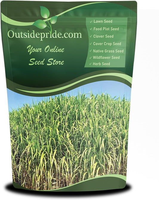 Outsidepride Switchgrass Seed - 5 lbs. Perennial Hardy, Drought & Flood Tolerant Native Grass Seed Ideal Fast-Growing Grasses for Erosion Control, Wildlife Forage & Food Plots, Thrives in Poor Soil