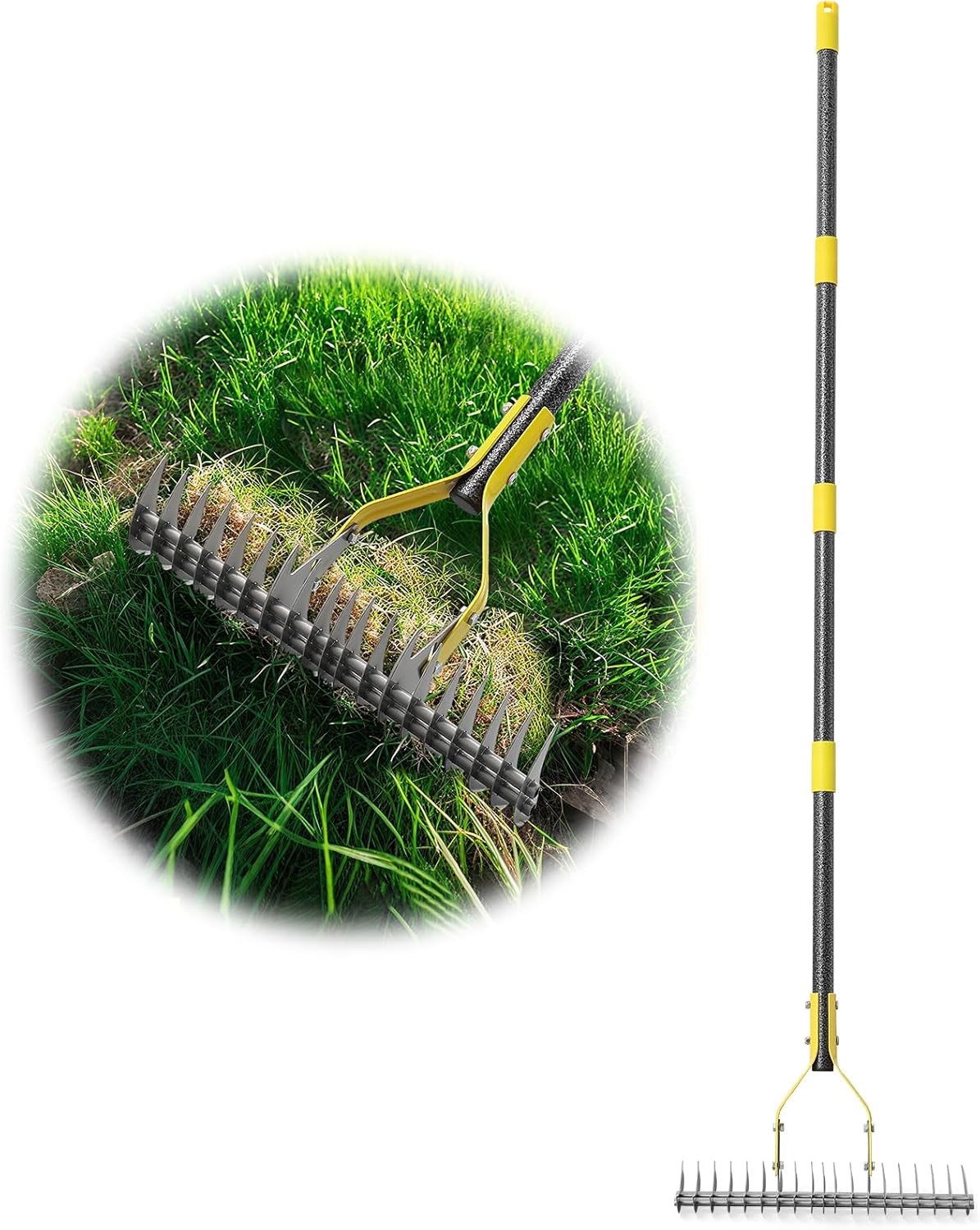 Thatch Rake 5.5FT Heavy Duty Metal Dethatcher Rake with Adjustable Long Handle 19-Tine 15” Wide Lawn Yard Garden Tool for Cleaning Dead Leaf Grass Loosing Soil