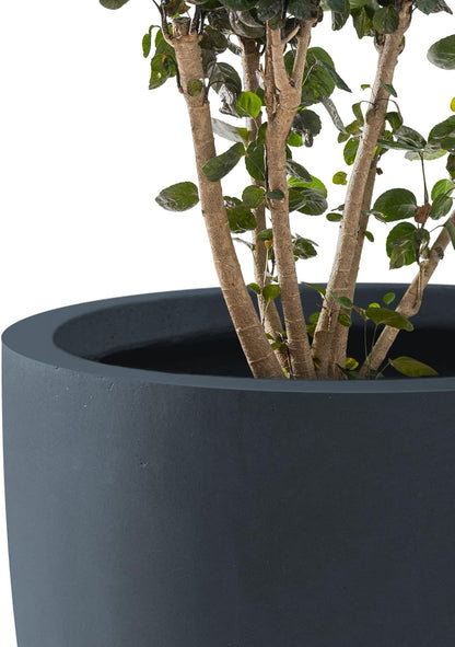 Kante 13.4" Dia Round Concrete Planter, Large Outdoor Modern Indoor Decorative Plant Pots with Drainage Hole and Rubber Plug for Home and Garden, Charcoal