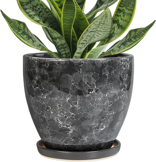 6 Inch Plant Pot - Ceramic Planter for Indoor with Drainage Hole and Saucer, Round Succulent Pot, Modern Flower Planters, Home Room Garden Office Decor, Gardening Gifts for Women, Grey