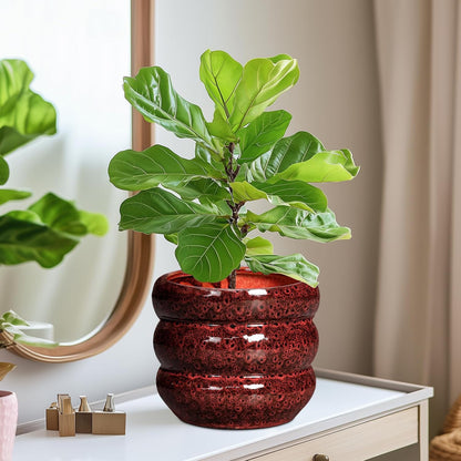 SQOWL Ceramic Flower Pots - 8 Inch Planter for Indoor Plants, Ceramic Plant Pot with Drainage Hole, Bubble Round Planter for Outdoor Plants, Office Home Desk Decor, House Warming Gifts, Red