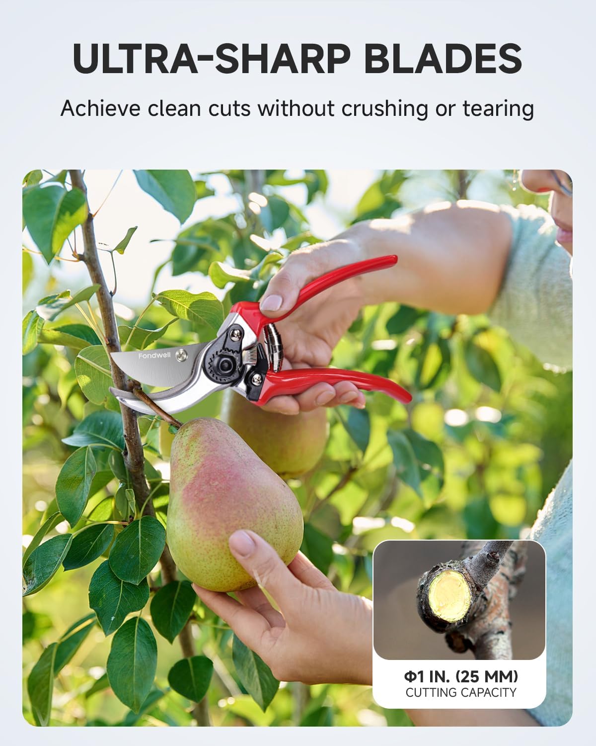Fondwell 8.5" Bypass Pruning Shears for Gardening: Heavy Duty Garden Clippers Hand Pruners of High Cutting Efficiency