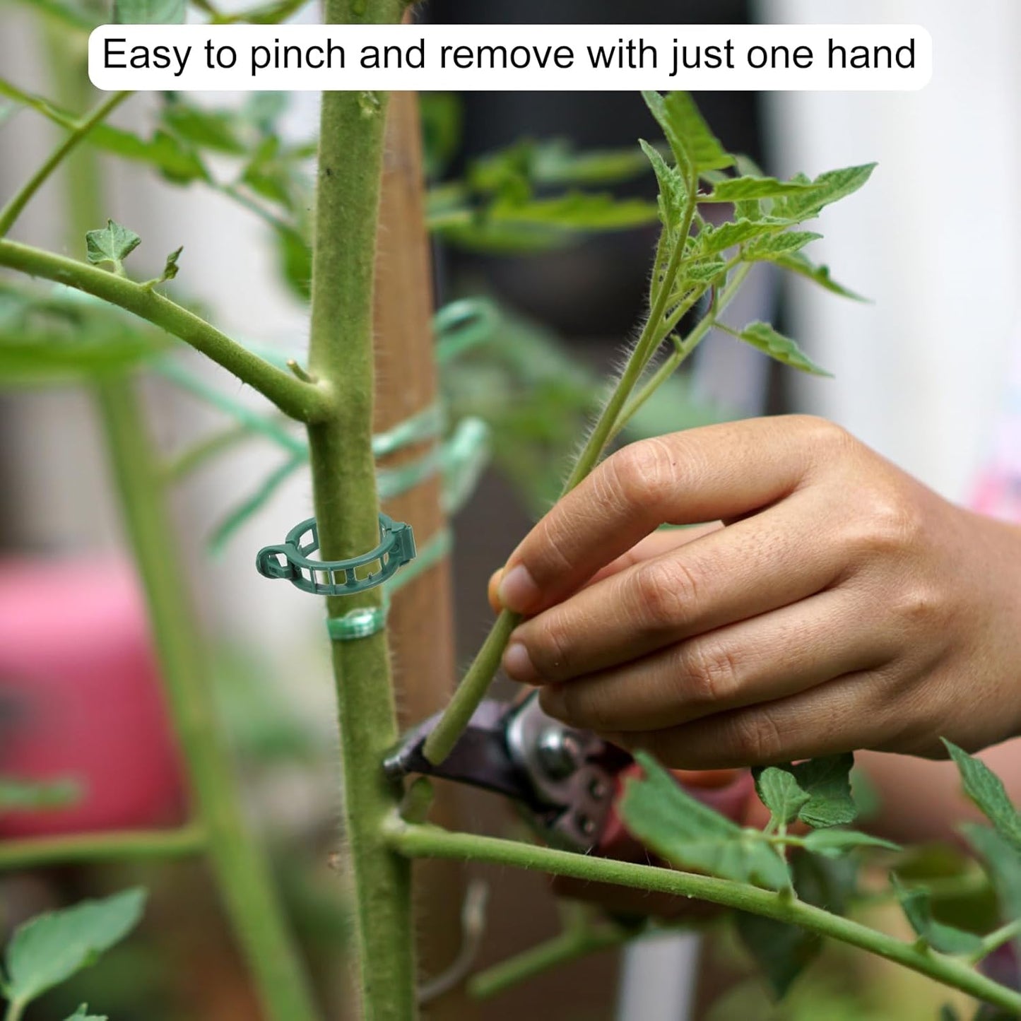 MECCANIXITY 300 Pcs Garden Plant Clips Fixing Clips Green 30mm Adjusting Plant Lever Loop Clips for Supporting Flower Vine Vegetables Climbing Plant Plant Stems