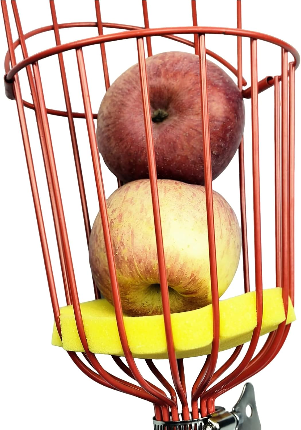 Stainless Steel Fruit Picker Basket Tool for Apple, Cherry, Berry, Orange, Blueberry, Mango, Avocado, Lemon, Peach Harvesting (Only Head)