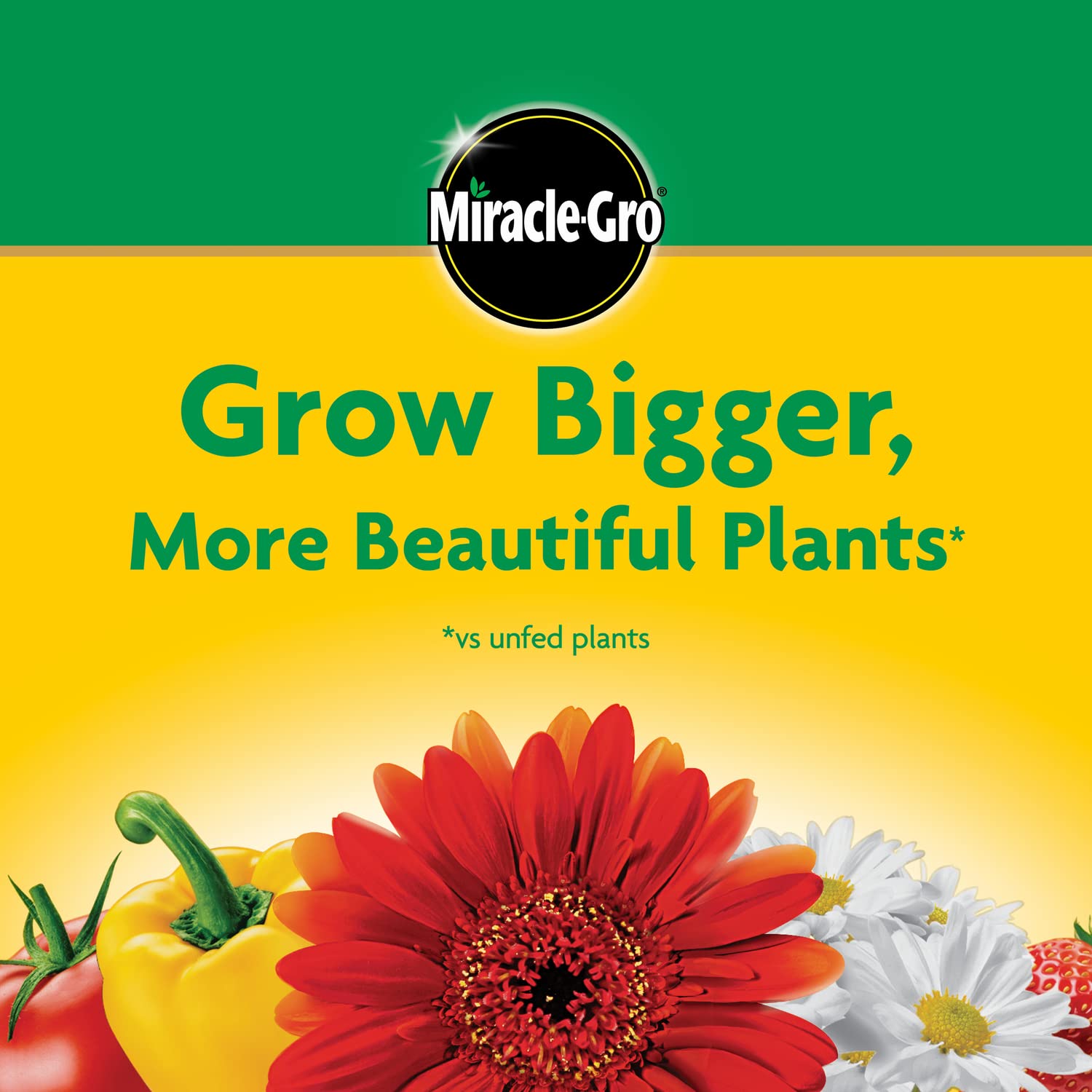 Miracle-Gro Water Soluble All Purpose Plant Food, 3 lb.