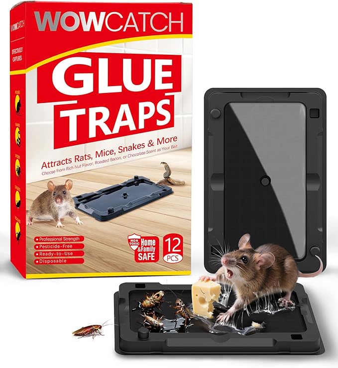 Sticky Mouse Traps Indoor for Home - 12 Pack Glue Traps for Roaches, Spider, Lizard, Rodent Catcher for Kitchen, Garage, Glue Boards for Insects, Pet Safe Pest Control, Non-Toxic, Small Size