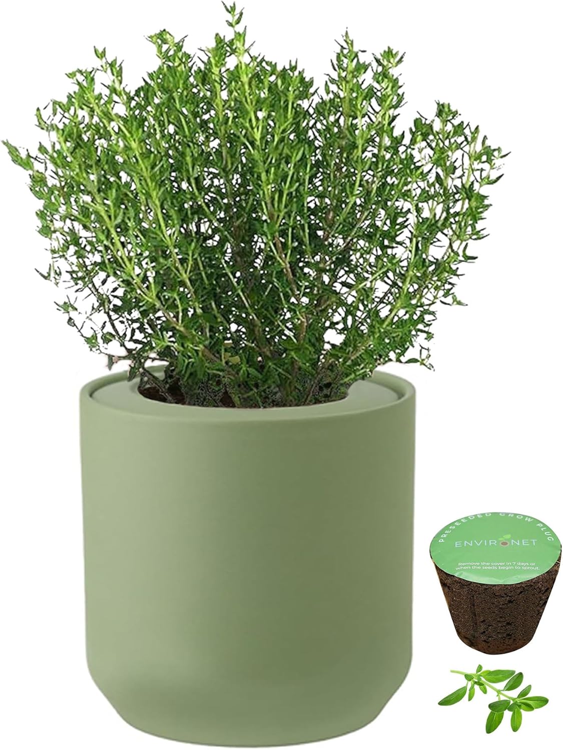 Hydroponic Herb Growing Kit, Self-Watering Kitchen Herb Garden Starter Kit with Green Ceramic Pot and Seeds (Thyme)