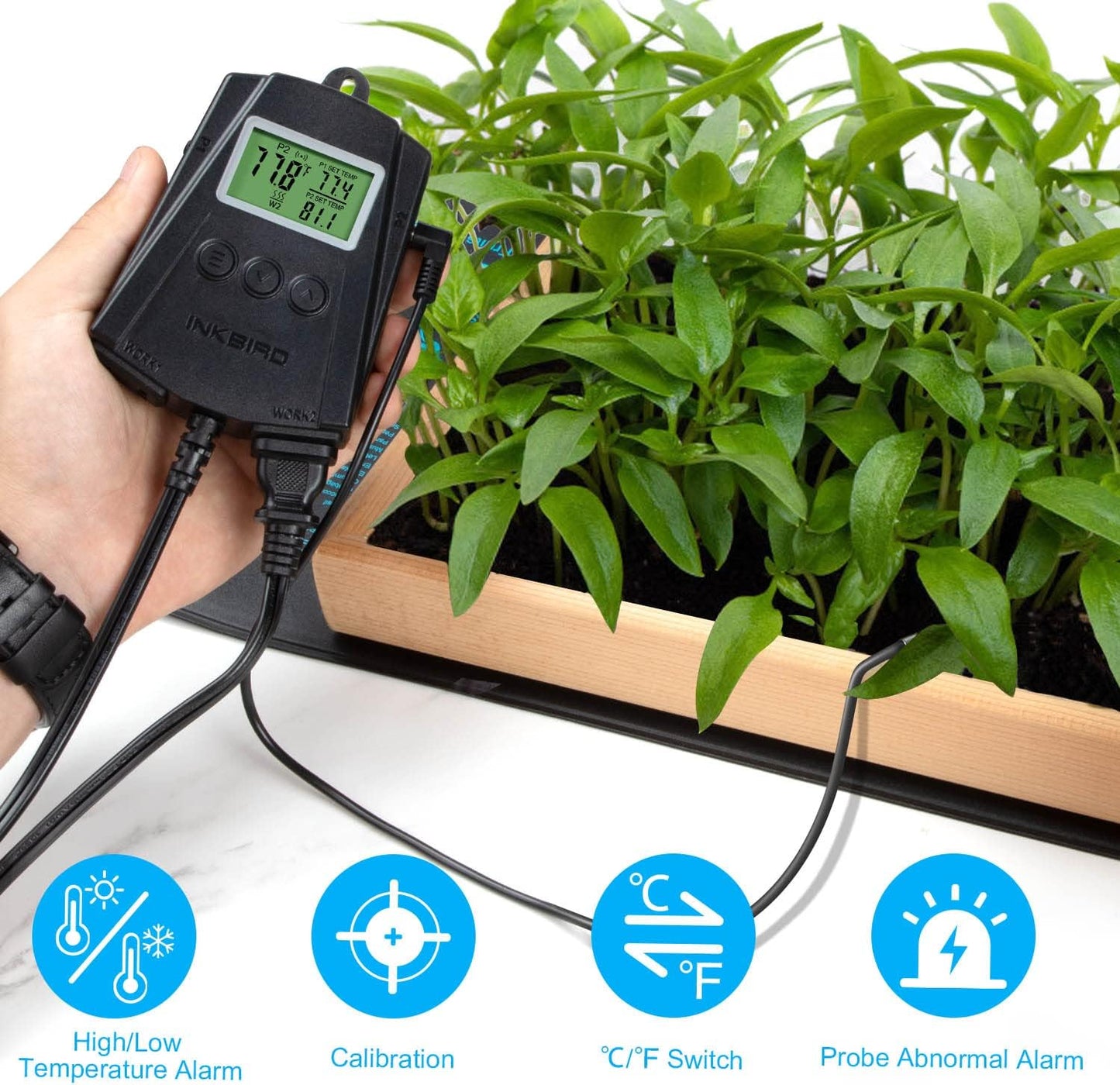 Inkbird WiFi Heat Mat Reptile Thermostat Controller Temperature Controller with 2 Probes and 2 Outlets, IPT-2CH Reptiles Heat Mat Thermostat (Max 250W per Outlet)