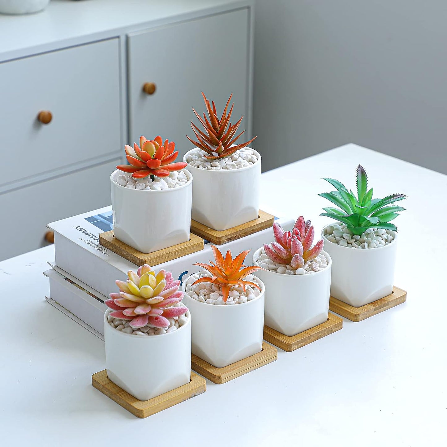 ARTKETTY Succulent Pots - 3 Inch Small Succulent Planter Pot with Drainage Trays Set of 6, Ceramic Planters for Indoor Plants Cactus Flower Plant for Home Office