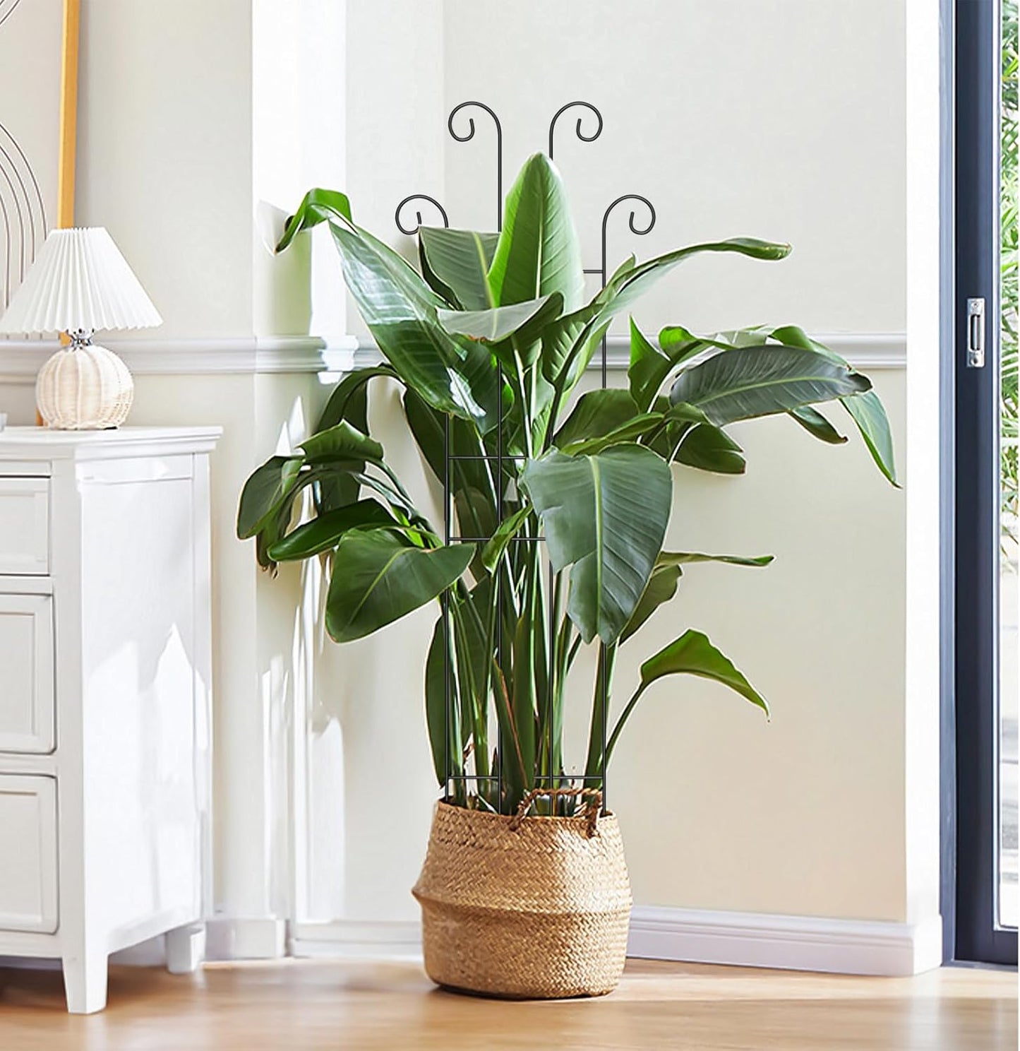 2 Set 32'' Taller Plant Trellis for Climbing Plants Indoors & Outdoor, Garden Metal Trellis Plant Support for Potted Plants, Houseplants, Flowers Vine, Ivy, Pothos, Monstera