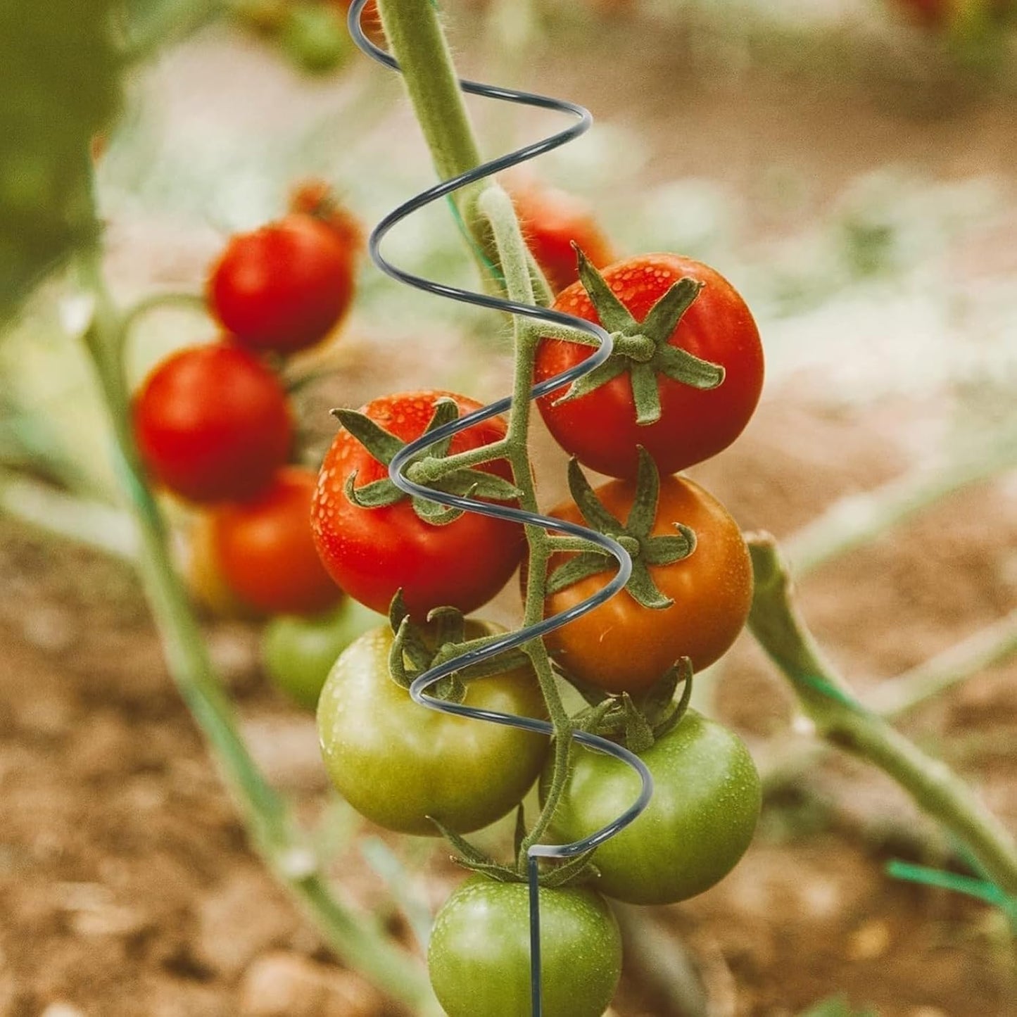 Tomato Twist Stake, Twisted Tomato Stakes Plant Supports, Tomato Cages Climbing Stake, Plant Support for Potted Plants Tomato Rose Vine, Plant Support Stakes for Potted Plants (10pcs)