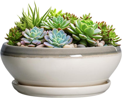 SQOWL Large Succulent Planters - 12 Inch Ceramic Bonsai Pots with Drainage Hole and Saucer, Shallow Round Planter for Indoor Plants, Bowl Planter Outdoor, Living Room Decor, Birthday Gift, Gray-Beige