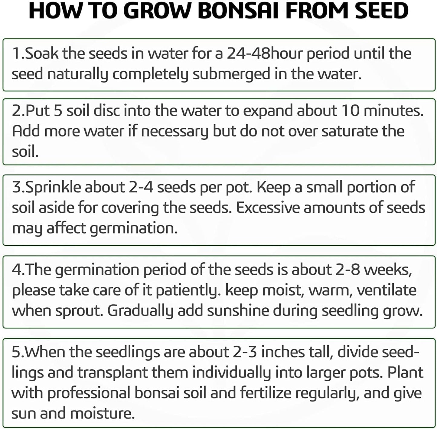 4 Bonsai Tree Seeds with Complete Growing Kit & Wooden Planter Box, Indoor Bonsai Tree Starter Kit, Great Potted Plants DIY Gift for Adults