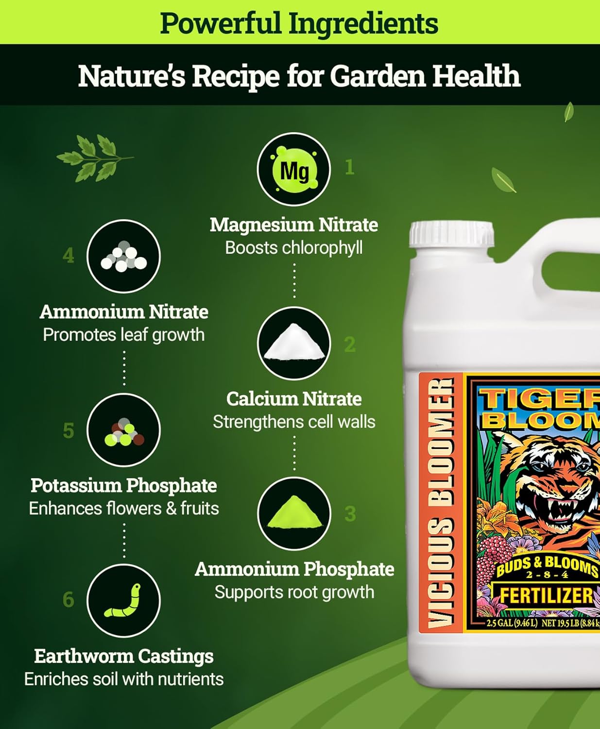 FoxFarm Tiger Bloom Liquid Fertilizer Concentrate - Fast Acting Formula for Vicious Growth with Phosphorus - Encourages Fruit, Flower & Bud Development, NPK 2-8-4 (2.5 Gallons)