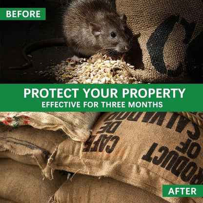 Rodent Repellent Balls Indoor/Outdoor Mice Repellent Indoor, Rat Repellent for Outside, Outdoor Mouse Repellant, Peppermint Balls for Rodents, Rat Repeller for Car Engines 10P