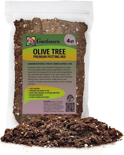 Gardenera Olive Tree Premium Potting Mix - Create a Mediterranean Paradise in Your Backyard - 4 Quart