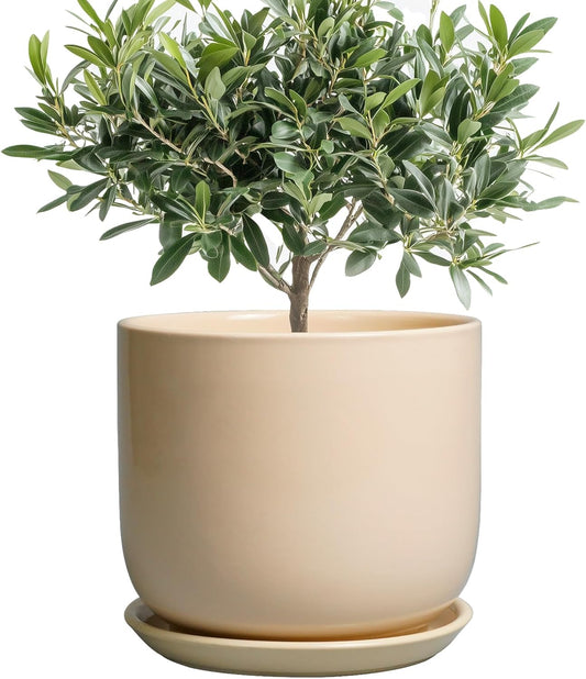 Ceramic Planter - Round Modern 8 Inch Plant Pot with Drainage Hole and Saucer for Flowers Herb, Home House Office Room Apartment Decor, Yellow