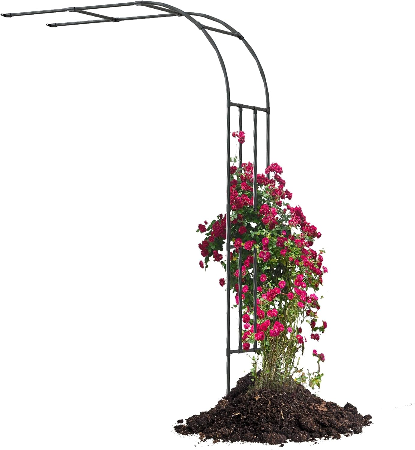 Half Sided Garden Arch, 47.24’’x94.5’’ Arbor Trellis, Garden Arch Trellis for Climbing Plants Outdoor, Arbor for Flower, Climbing Vine Vegetable, Fruit, Home Yard and Lawn(Black)