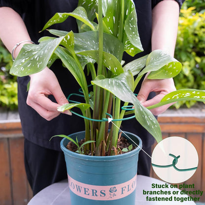 5PCS Monstera Plant Stem Support 7.3*6.25IN Adjustable Holder for Indoor Plants, Durable Metal Structure with Gentle Clips, Perfect for Fishbone Cactus & Climbing Plants, Ideal Gardening Gift