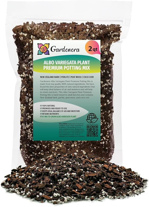 Albo Variegata Potting Mix - Optimal Nutrients and Aeration for Healthy Growth - 2 Quart