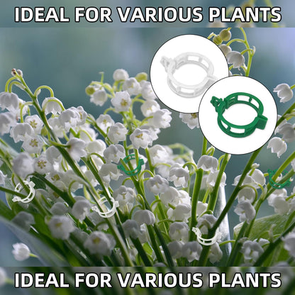 300 pcs Plant Support Clips, VEINARDYL Plastic Secured Garden Clips Trellis Clips for Climbing Plants Tomato Clips Vegetable Clips Flowers Stem Vine Fixing Clips for Plants Upright Outdoor Plants