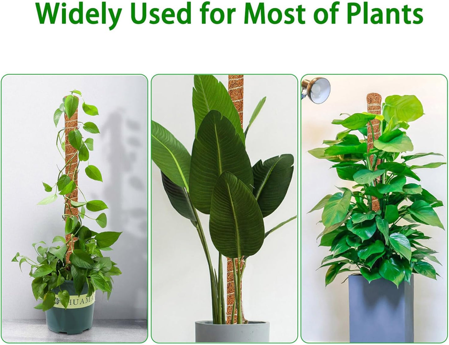 4 Pack Moss Pole, 35.4-Inch Moss Poles for Plants Monstera,Bendable Plant Support Stakes for Climbing Plants Indoor, Garden Trellis Plant Stick for Potted Plants, Pothos Philodendron